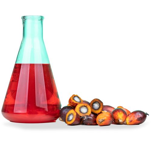 HRDCorp_IndSF_OilPalm_Subject_01