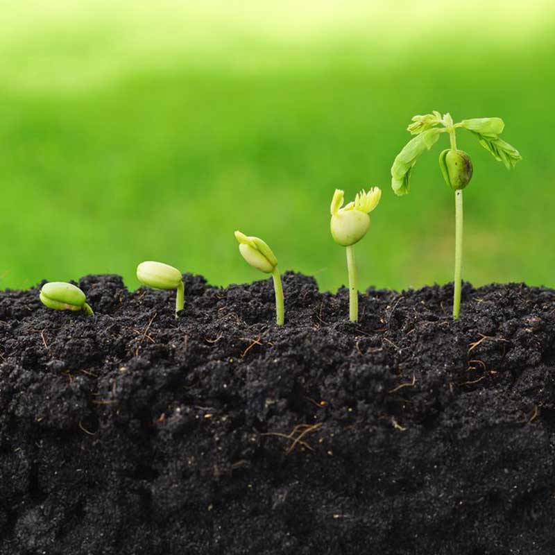 HRDCorp_IndSF_agriculture_Subject03
